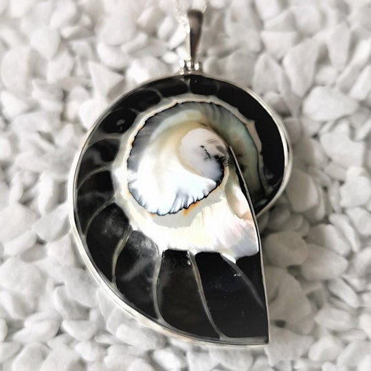 Black Nautilus Shell Pendant