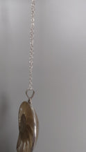Load and play video in Gallery viewer, clear nautilus shell pendant
