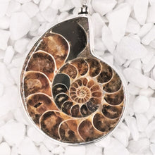 Load image into Gallery viewer, Large Ammonite fossil pendant with sliced ammonite set in silver with a solid silver back
