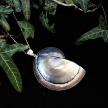 Load image into Gallery viewer, Pearlescent nautilus shell pendant in silver surround

