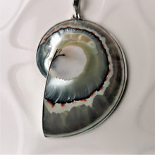 Load image into Gallery viewer, Pearlescent nautilus shell pendant in silver surround
