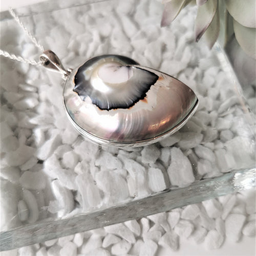 Pearlescent nautilus shell pendant with a silver surround