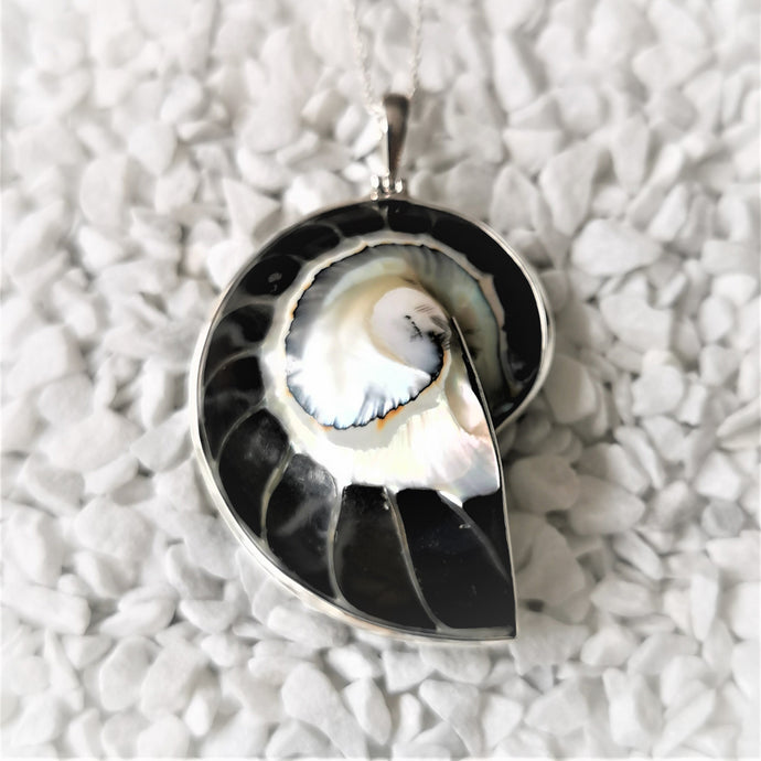 Black nautilus shell pendant with silver surround