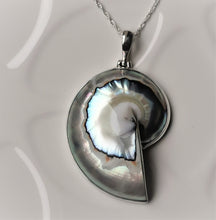 Load image into Gallery viewer, Pearlescent nautilus shell pendant with a silver surround
