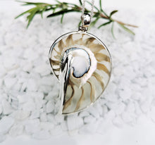 Load image into Gallery viewer, Clear Nautilus shell pendant housed  in a silver setting

