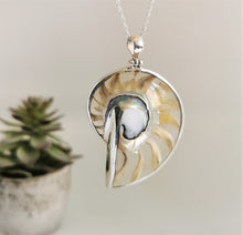 Load image into Gallery viewer, Clear Nautilus shell pendant housed in a silver setting
